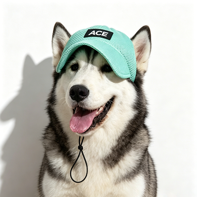 Chapeau pour animaux de compagnie extérieur et intérieur adapté aux petits chiens. Le forfait comprend 1 X chapeau pour animaux de compagnie, sangle réglable pour un ajustement sécurisé.