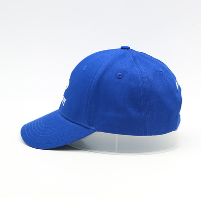 Chapeau 100% brodé bleu plat de bord incurvé par sergé de coton de 6 casquettes de baseball des panneaux 3D