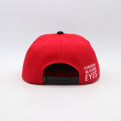 Le panneau 100% de dos droit de bord de sergé de coton de chapeaux plats de Snapback 3D a brodé le modèle de lettre unisexe