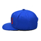 OEM ODM personnalisé bord plat 3D broderie casquettes snapback avec logo, casquettes hip hop pour hommes