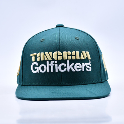 Logo de broderie 3D de qualité élégante 6 panneaux Chapeau Snapback Vente à chaud