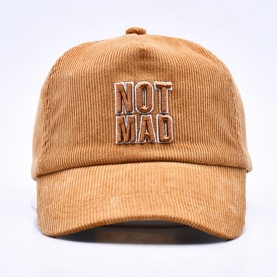 Cadeau de base-ball en coton cordeau Gorras en 3D personnalisé