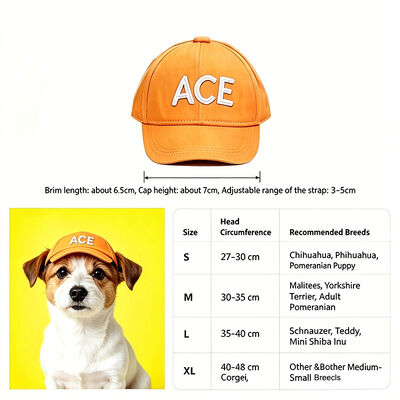 Matériaux non toxiques et respectueux de l'environnement Chapeau de chien élégant 50 grammes léger durable confortable pour les activités en plein air pour animaux de compagnie