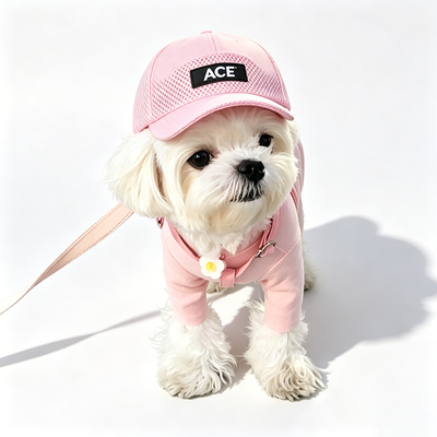 50 grammes de coton Cute Pet Hat Design polyvalent Compatible Various Outfits et personnalités d'animaux de compagnie cadeau parfait