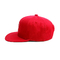 Chapeau de Snapback de logo de broderie chapeau/3D de Snapback de panneau de la coutume 6