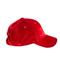 Les femmes ont courbé le chapeau plat de Casquette de base-ball de logo de broderie d'hiver rouge de velours d'Eaves