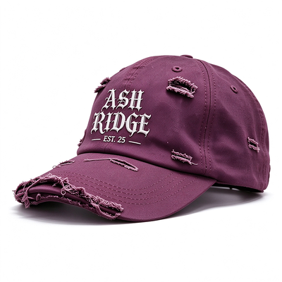 Casquette de sport respirante et légère pour papa, broderie en relief, lavable à la main, idéale pour un usage décontracté et les amateurs de plein air